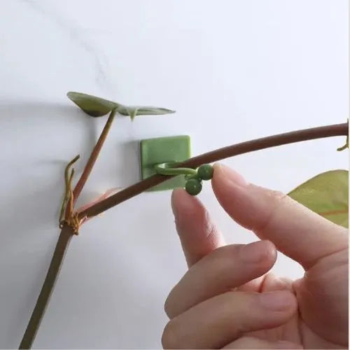 Plant Climbing Wall Clips (Set of 10)