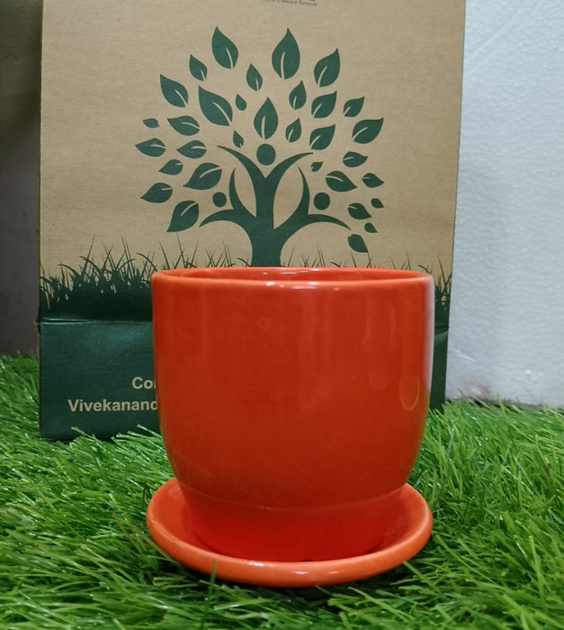 Ceramic decorative pot with plate (any color)