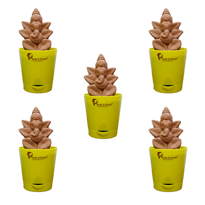 Plant Ganesh Premium - Combo of 5