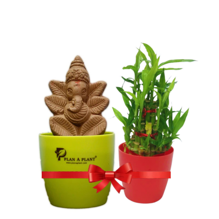 Lucky Ganesh (Plant Ganesh with Lucky Combo)