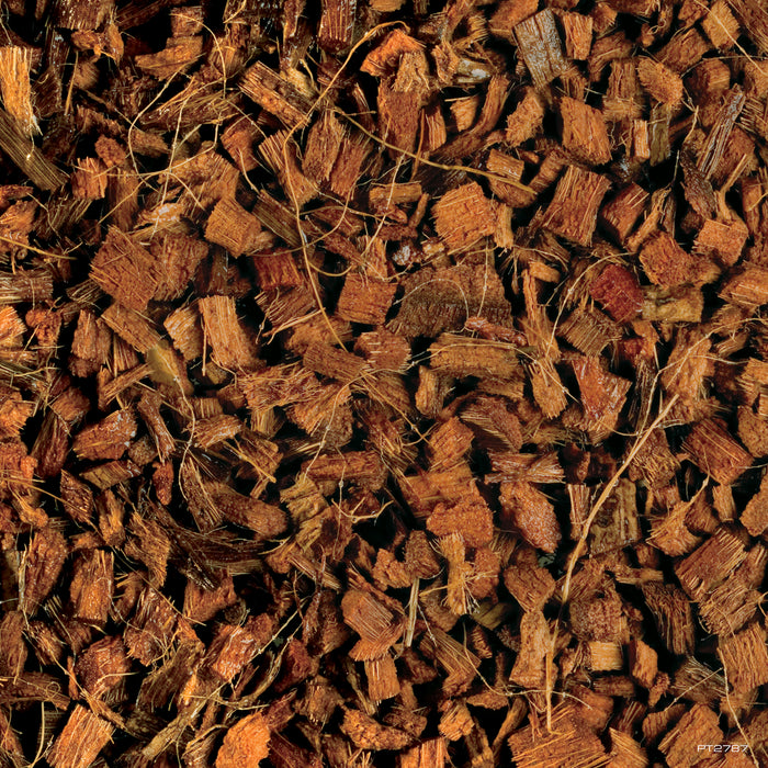 Coconut Husks (100gms)