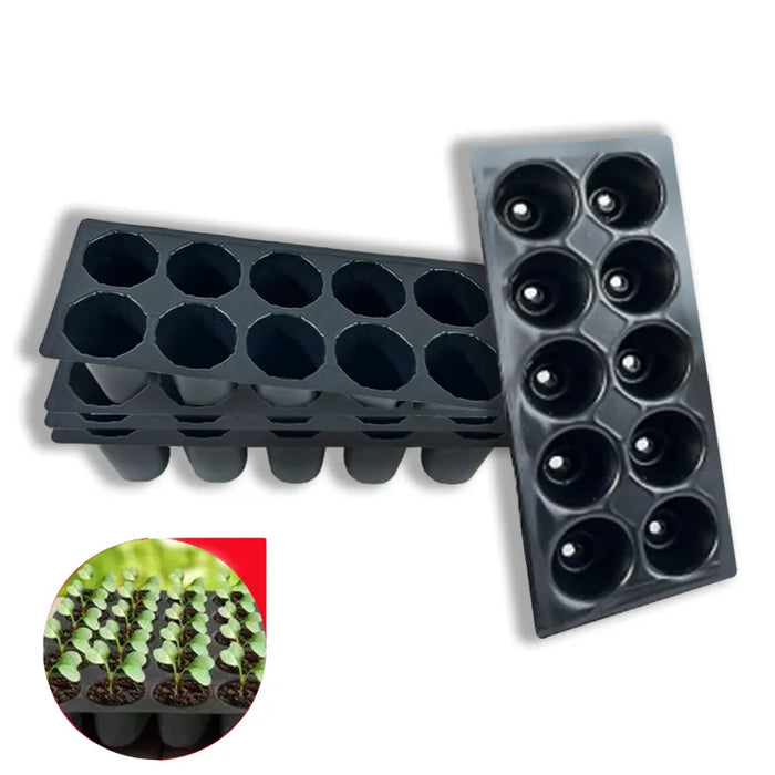 Seedling Tray (Set of 2)