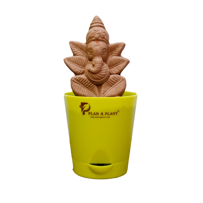 Plant Ganesh Premium