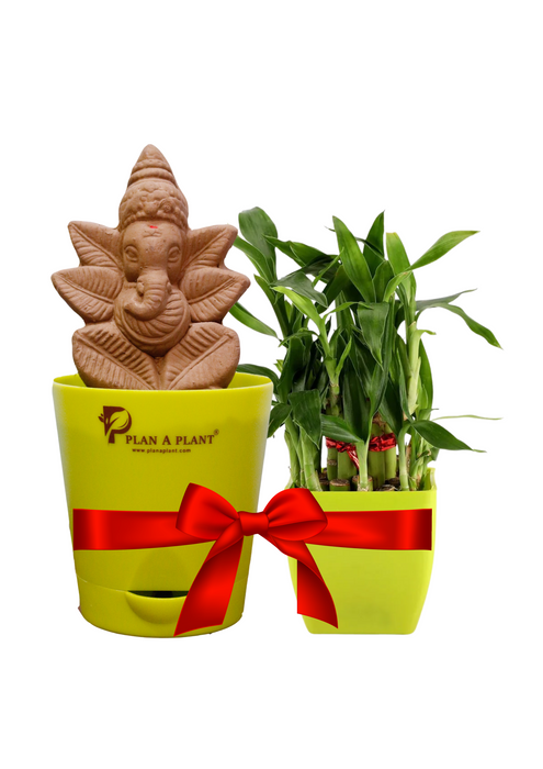 Lucky Ganesh (Plant Ganesh with Lucky Combo)
