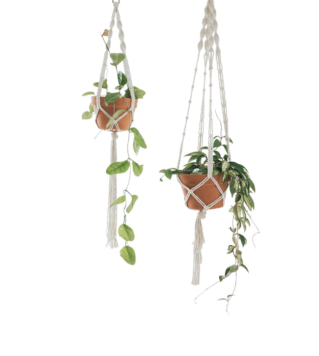 Macramé plant Hangers Set of 2