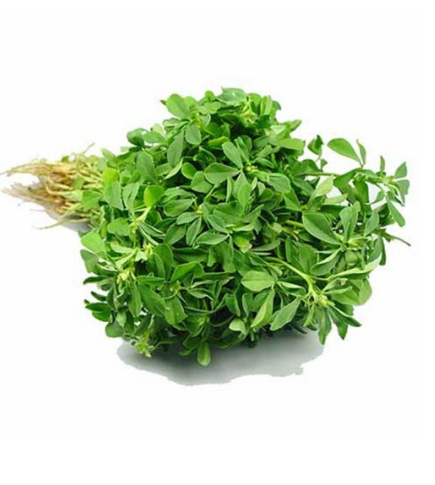 Methi/Fenugreek 10 seeds