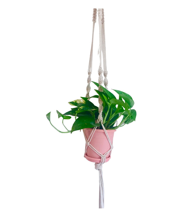 Macramé Plant Hanger-1