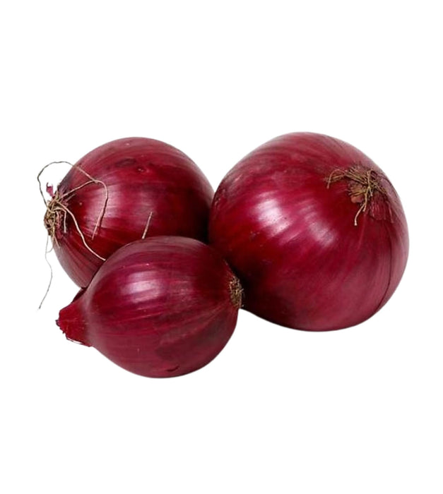 Onion Dark Red 10 Seeds