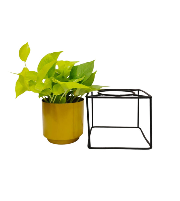 Iron Pot With Square Stand