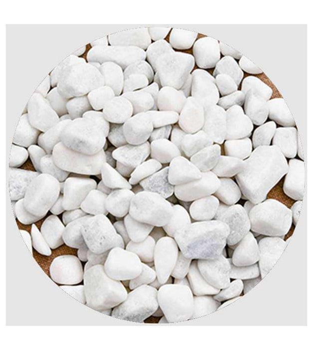 Pebbles White ( Medium) - 1/2 kg