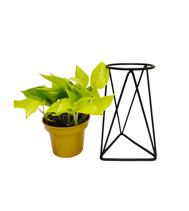 Triangle Stand with Metal Pot