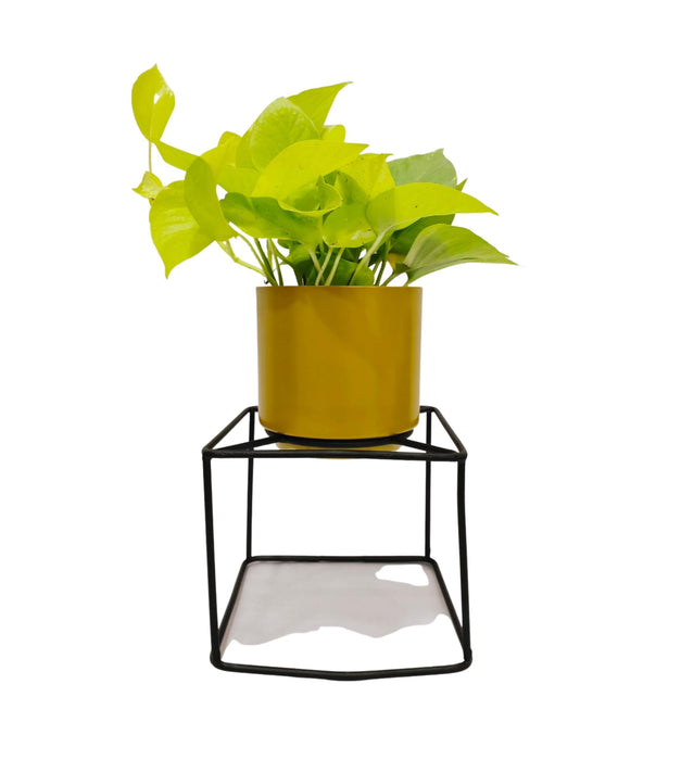 Iron Pot With Square Stand