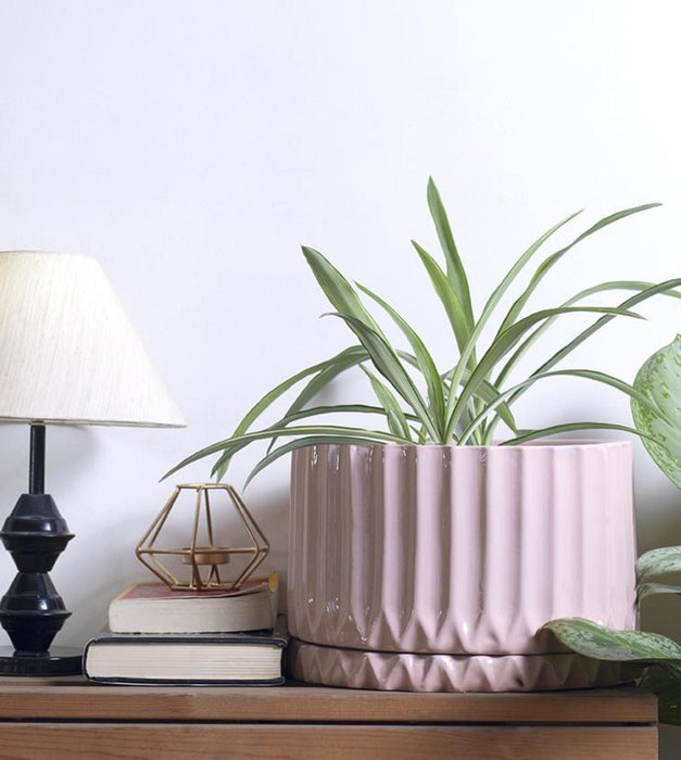 Fleeting Bliss Planter