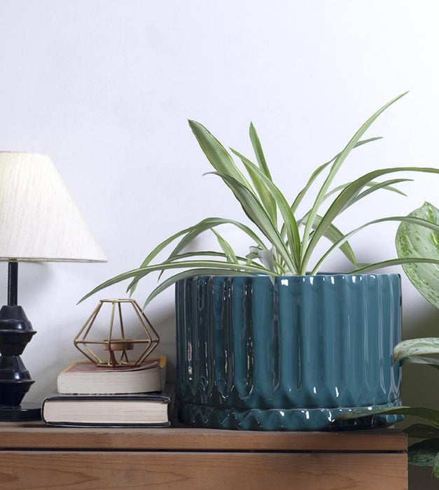 Fleeting Bliss Planter
