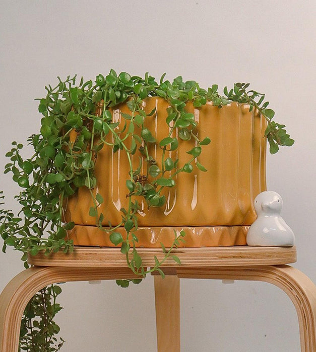 Fleeting Bliss Planter