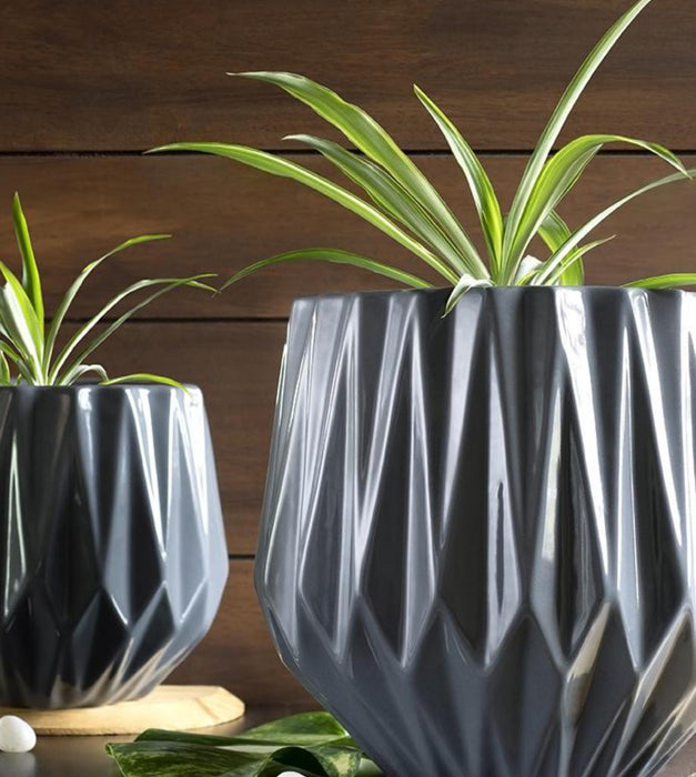 Precious Horcrux Planter