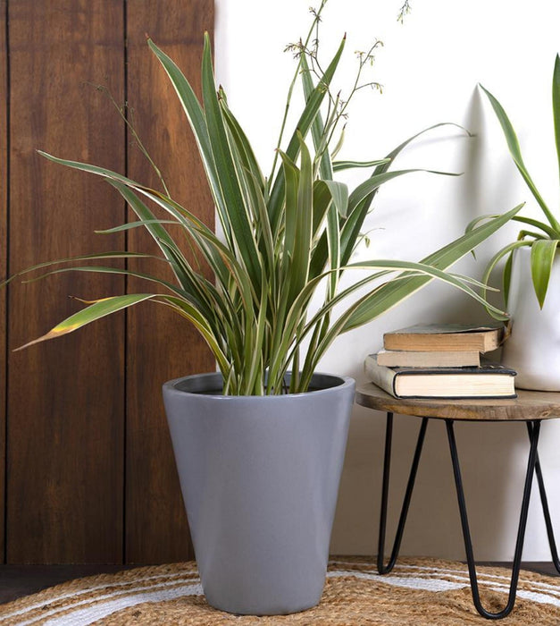 Love Bite Planter