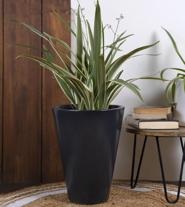 Love Bite Planter