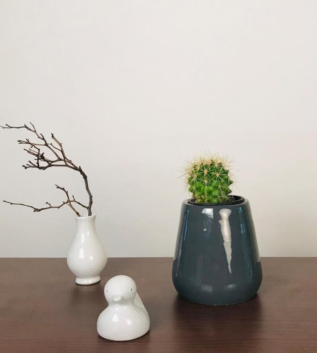 Tulip Fantasy Extra Small Planter