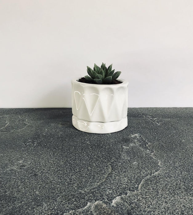 Paisley Planter