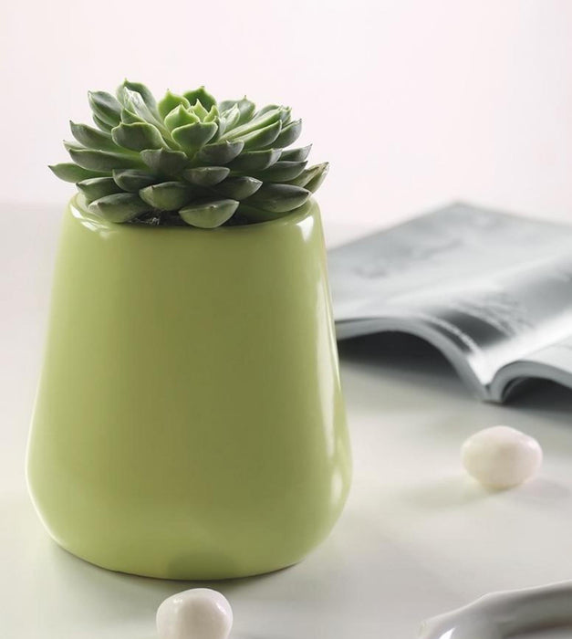 Tulip Fantasy Extra Small Planter
