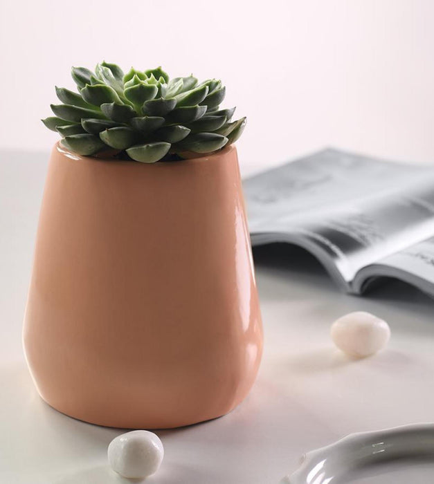 Tulip Fantasy Extra Small Planter