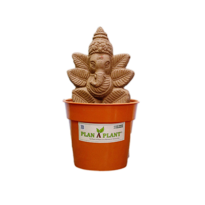 Plant Ganesh Mini