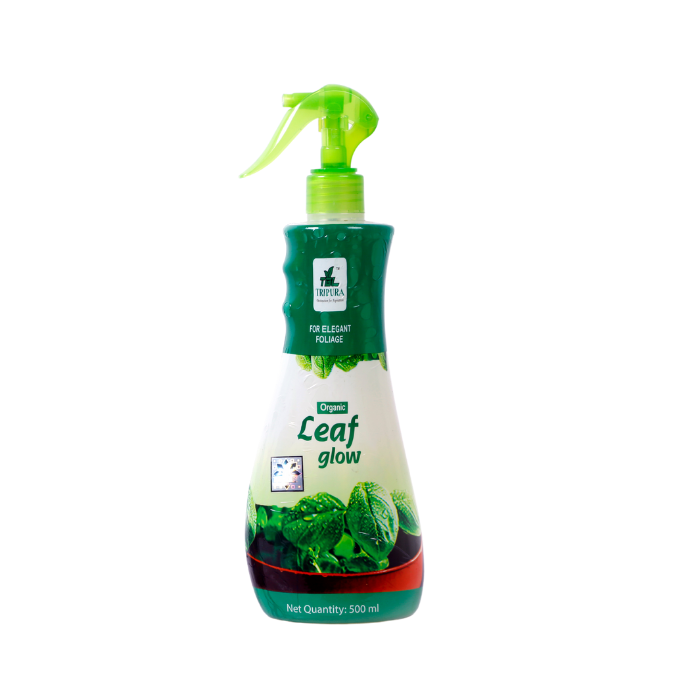 Organic Leaf Glow Plant