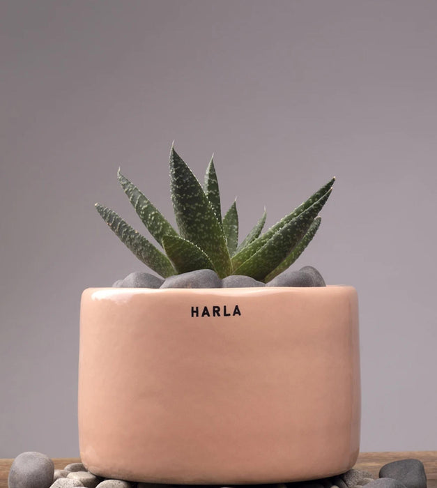 Lilac Stories Planter- Bowl