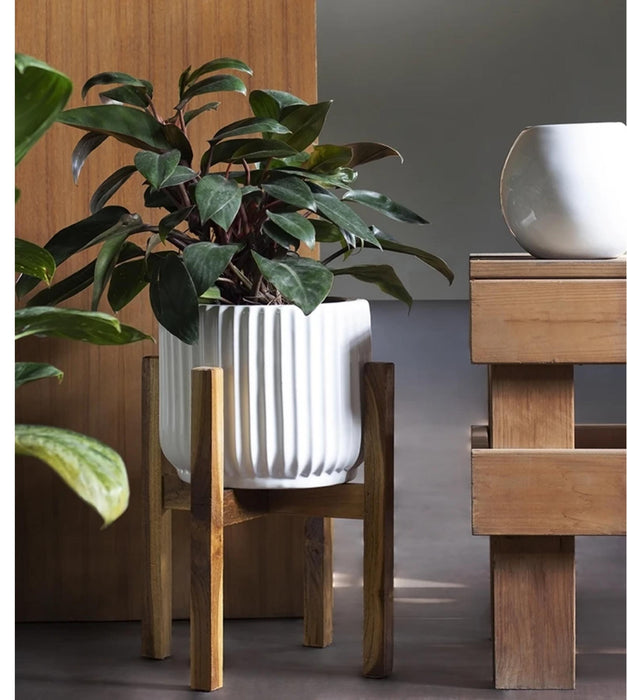 Pheonix with Wooden Stand Planter