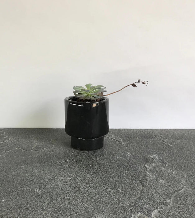 Tattooed Love Planter