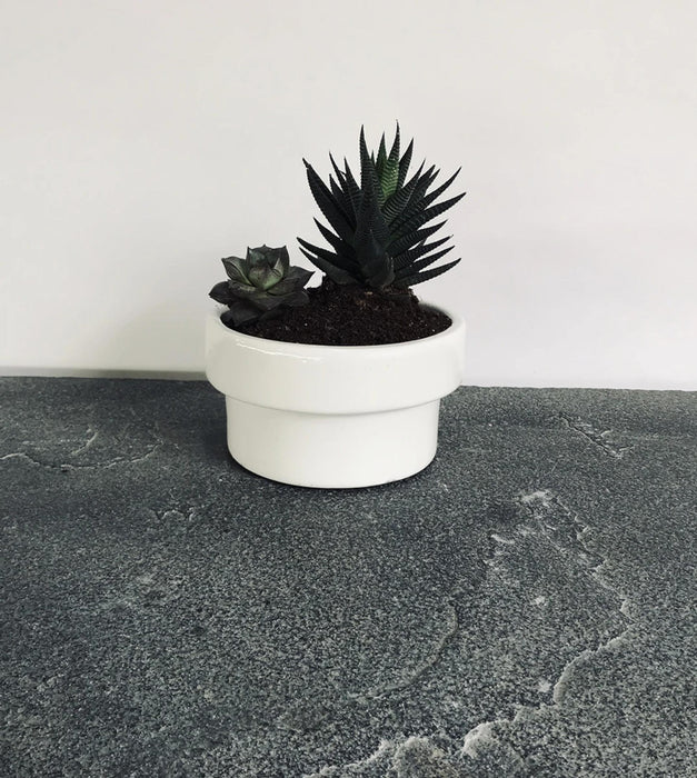 Tattooed Love Planter