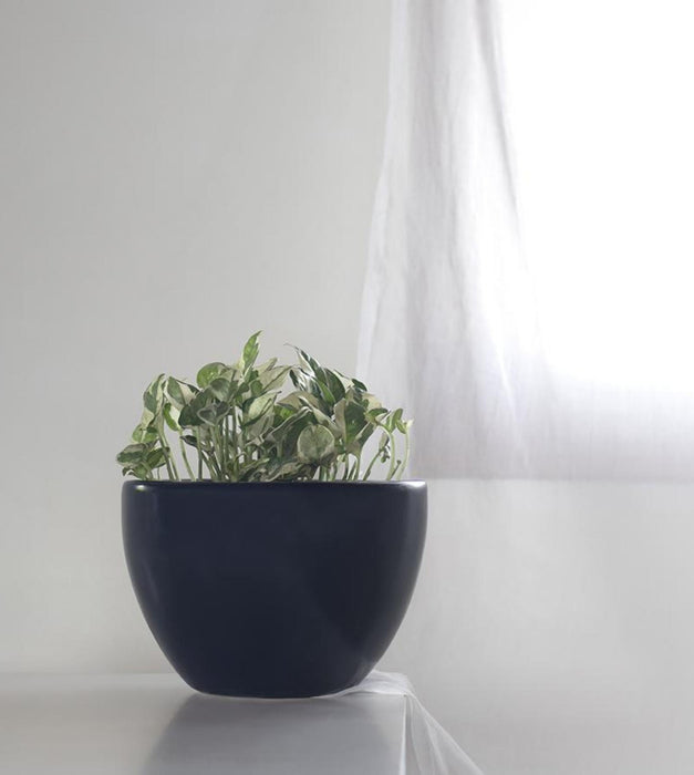 Echoing Eternity - Fat Planter