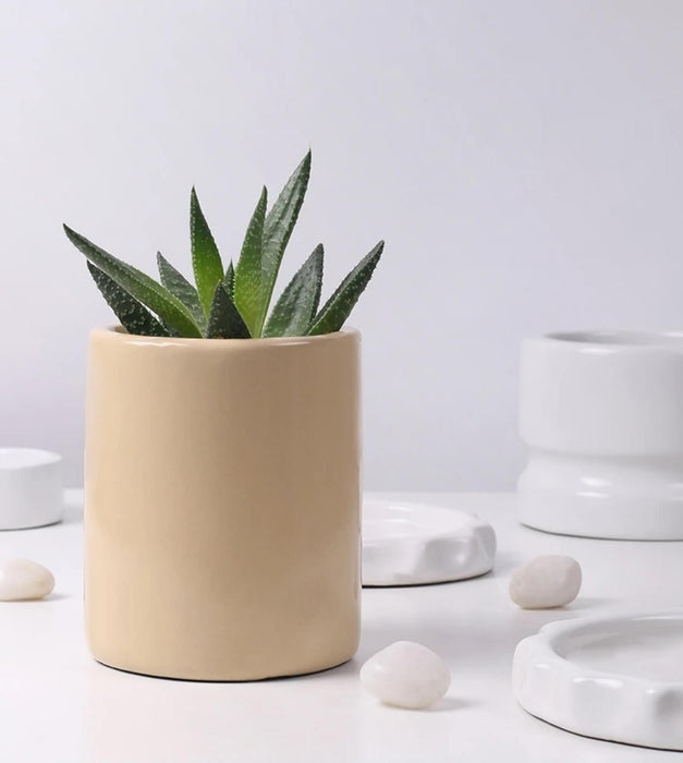 Lilac Stories Planter- Extra Small