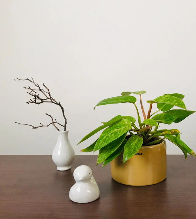 Lilac Stories Planter- Bowl