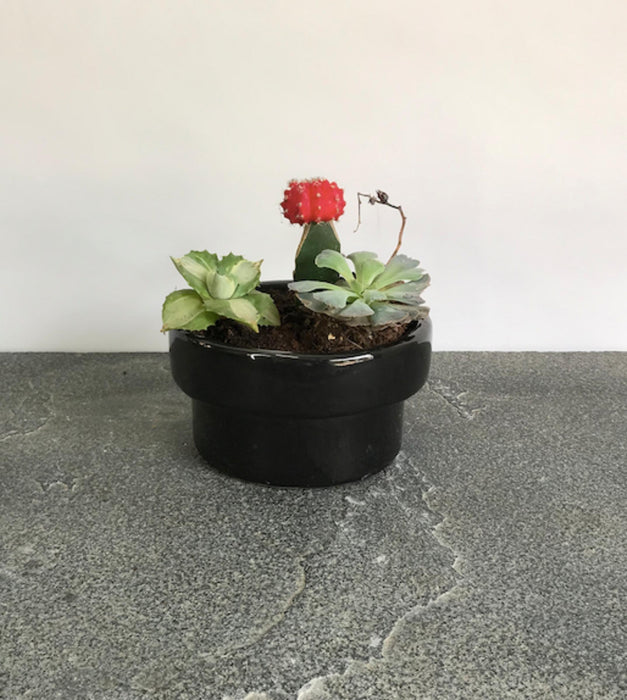 Tattooed Love Planter