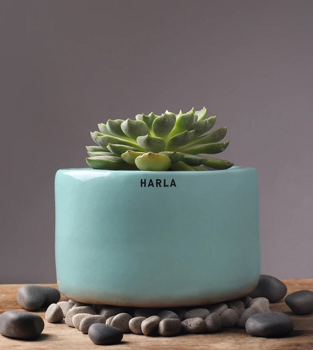 Lilac Stories Planter- Bowl