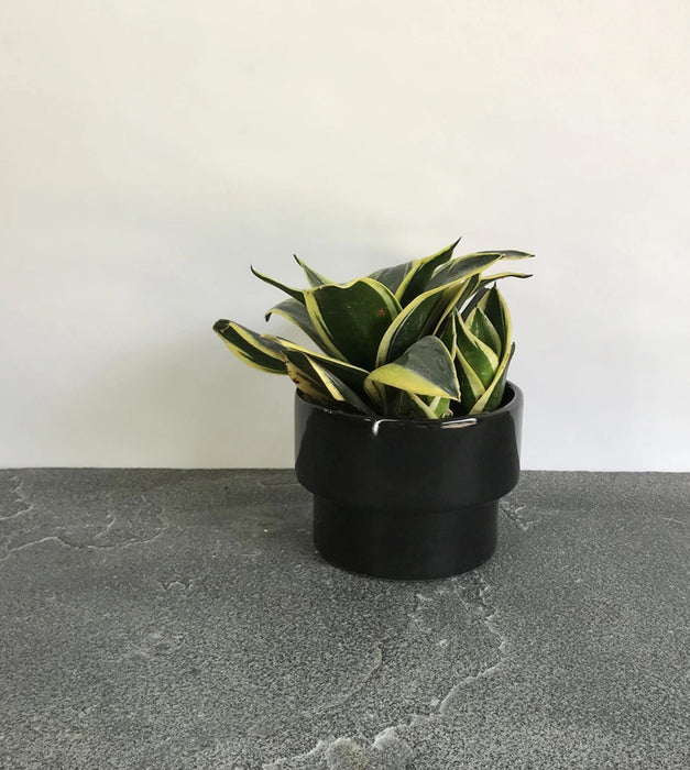 Tattooed Love Planter