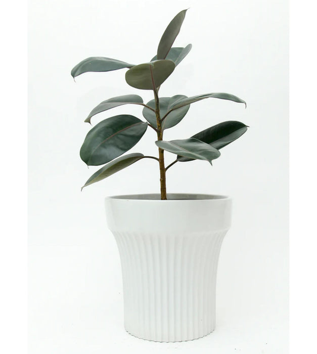 Charcoal Reality Planter