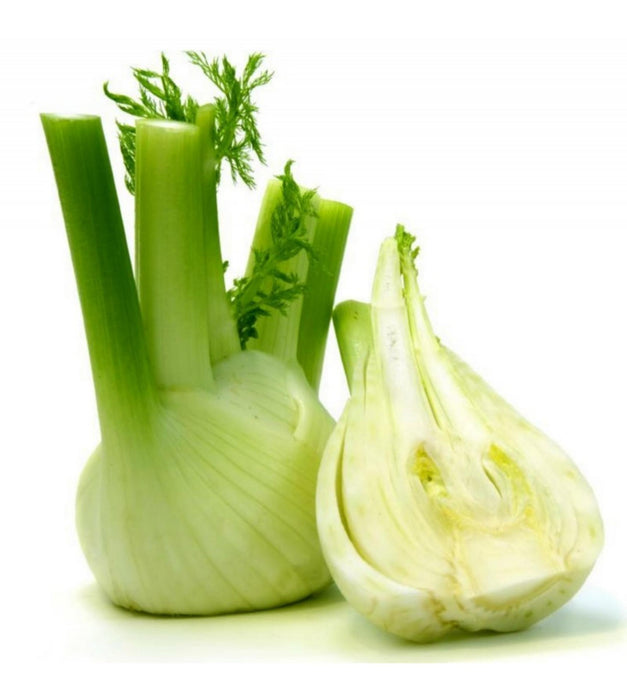 Premium Herb Seeds - Sweet Fennel 10 Seeds