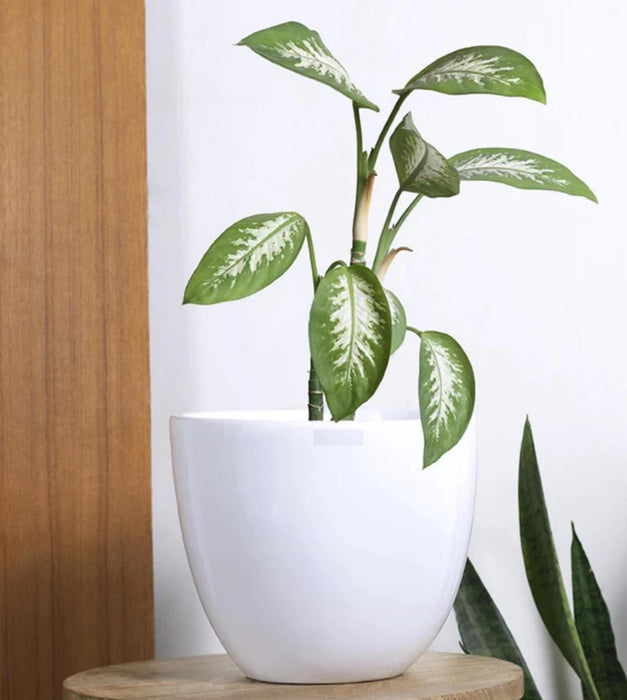 Echoing Eternity Slim Planter