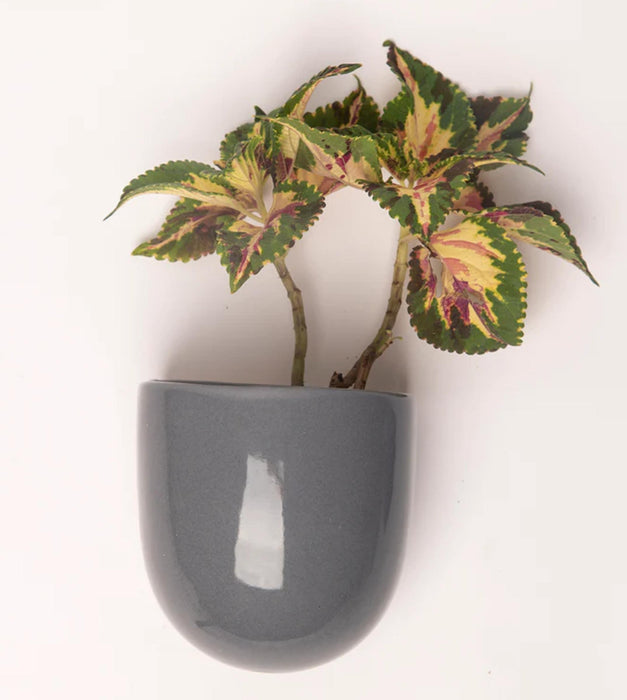 Watercolor Rhythms Planter