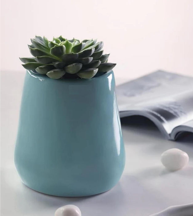 Tulip Fantasy Extra Small Planter