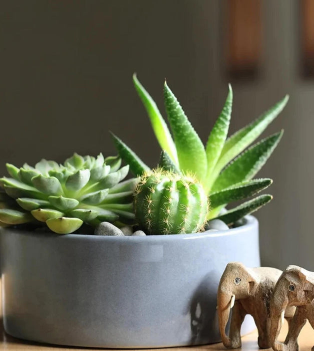Lilac Stories Planter - Flat