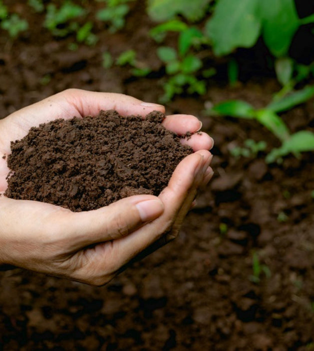 Potting Soil 1 Kg