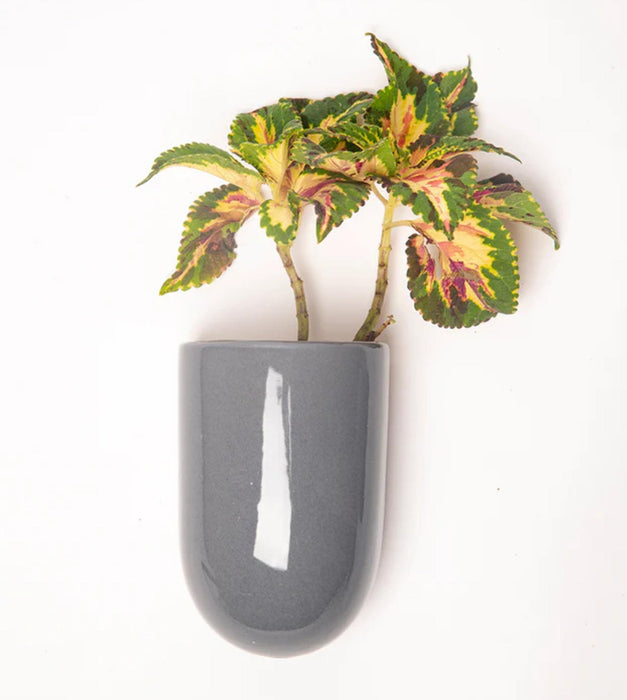 Watercolor Rhythms Planter