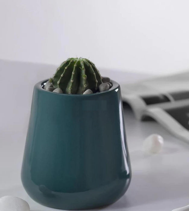 Tulip Fantasy Extra Small Planter