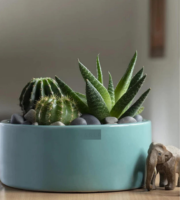 Lilac Stories Planter - Flat