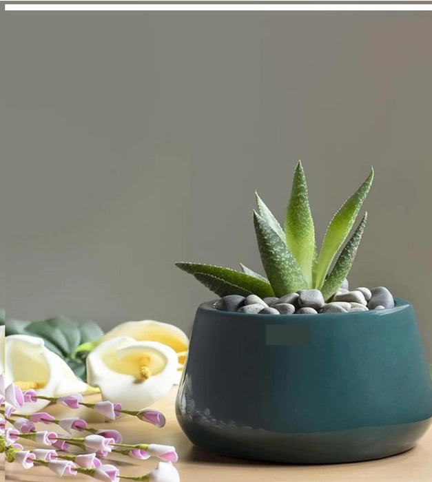 Tulip Fantasy Planter - Bowl