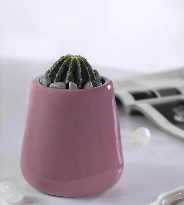 Tulip Fantasy Extra Small Planter